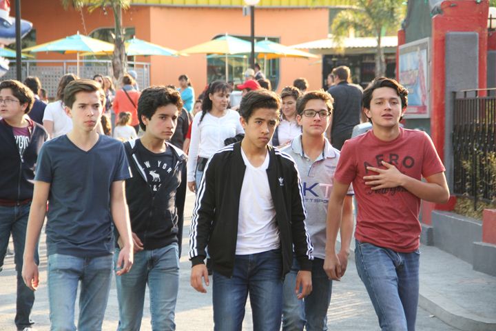 Ir a la Siguiente Foto