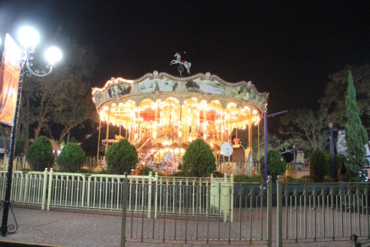 Ir a la Siguiente Foto