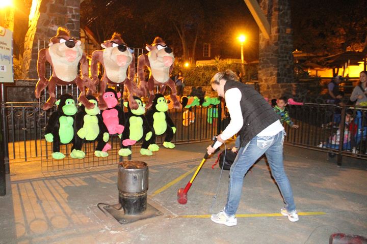 Ir a la Siguiente Foto