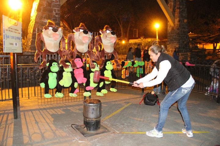 Ir a la Siguiente Foto