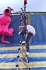 kermesse_sixflags2017703.jpg