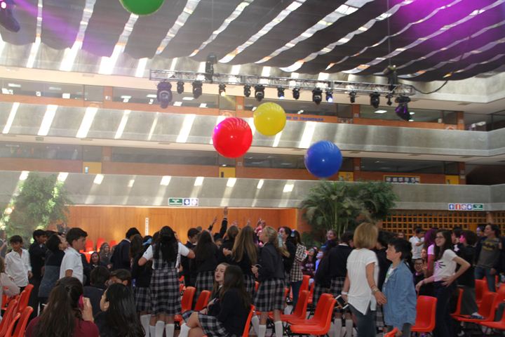 Ir a la Siguiente Foto