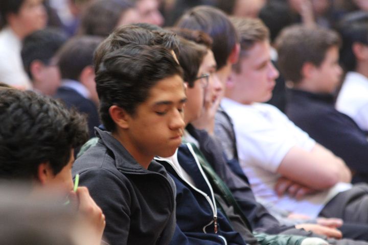 Ir a la Siguiente Foto