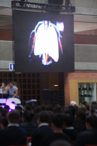 Ir a la Siguiente Foto