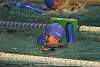 miniolimpiadas_finales_29marzo2017461.jpg