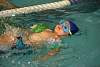 miniolimpiadas_finales_29marzo2017517.jpg