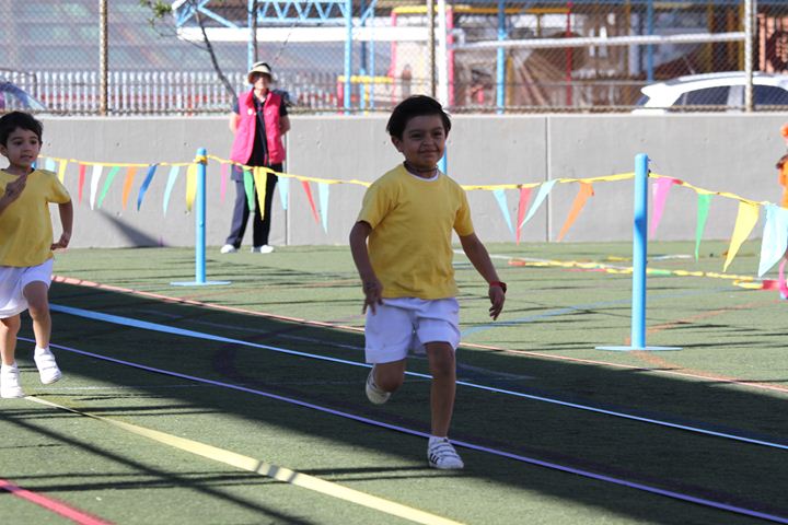 Ir a la Siguiente Foto