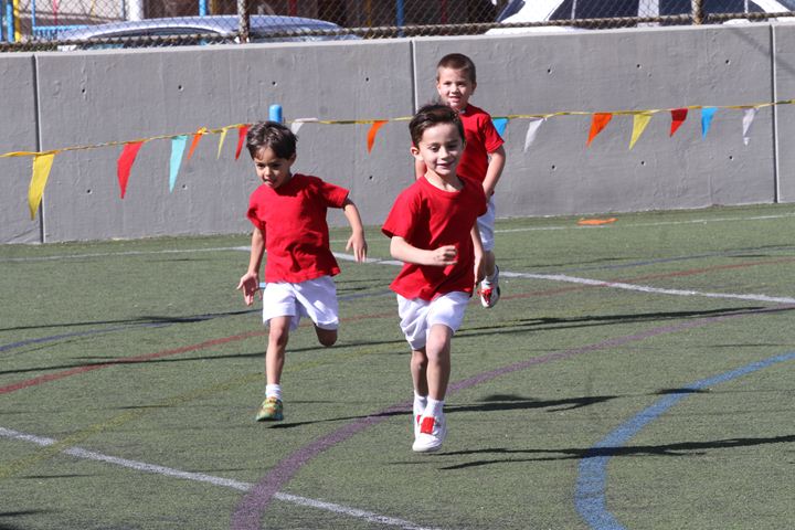 Ir a la Siguiente Foto