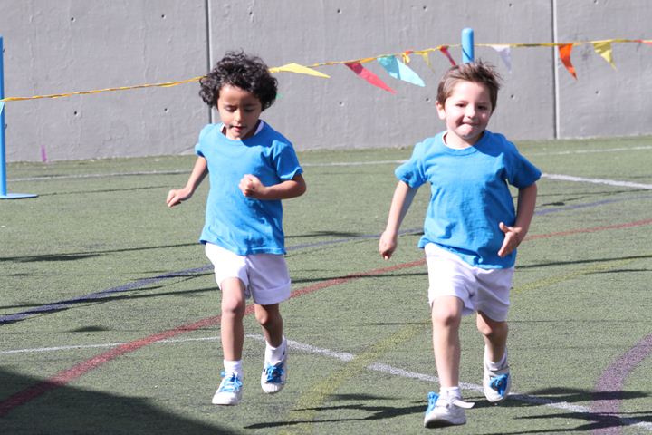 Ir a la Siguiente Foto