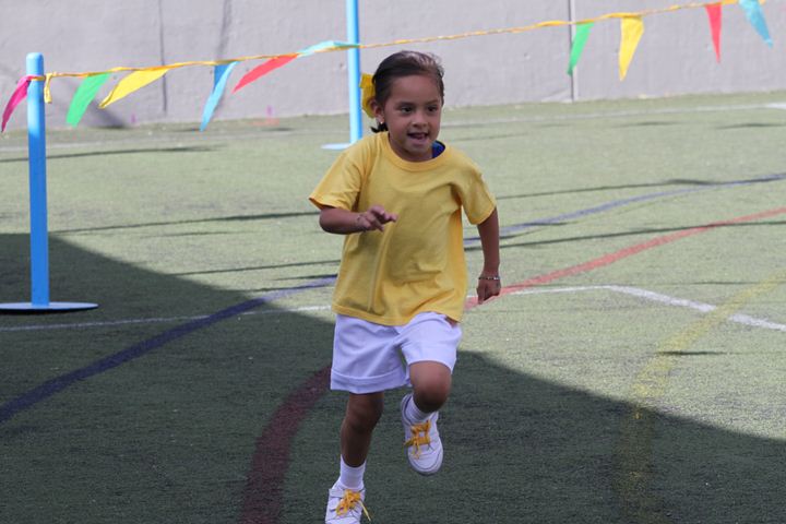 Ir a la Siguiente Foto