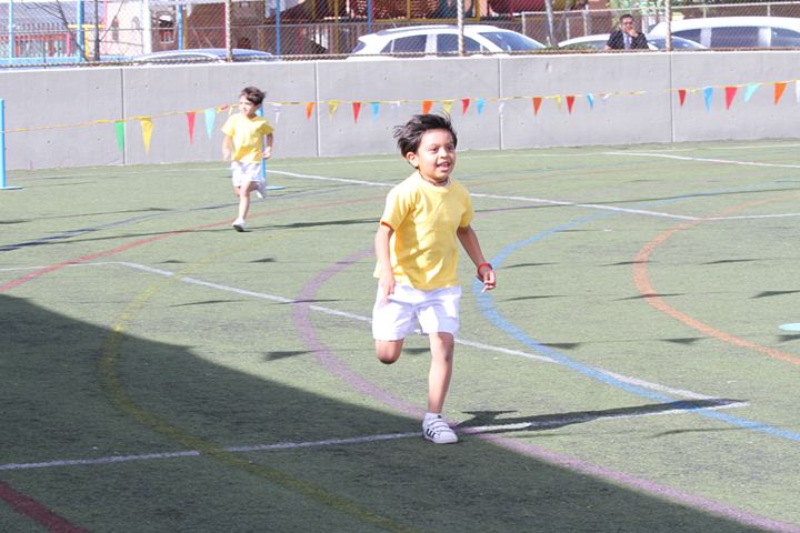 Ir a la Siguiente Foto