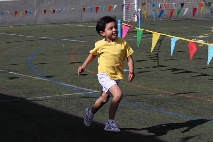 Ir a la Siguiente Foto