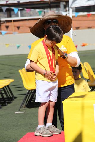 Ir a la Siguiente Foto