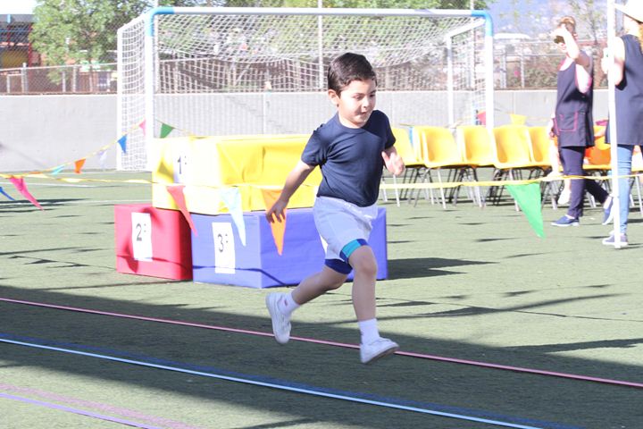 Ir a la Siguiente Foto