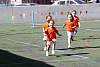 miniolimpiadas_finales_30marzo2017355.jpg