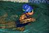 miniolimpiadas_finales_30marzo2017841.jpg