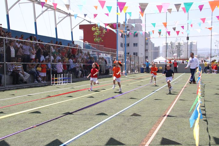 Ir a la Siguiente Foto