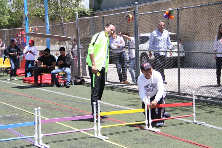 Ir a la Siguiente Foto