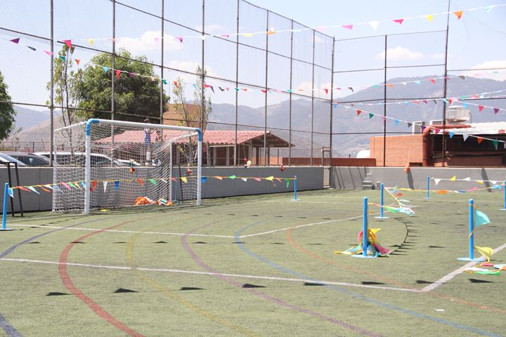 Ir a la Siguiente Foto