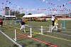 miniolimpiadas_sabado2017433.jpg