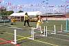 miniolimpiadas_sabado2017441.jpg