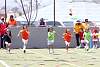 miniolimpiadas_sabado2017662.jpg