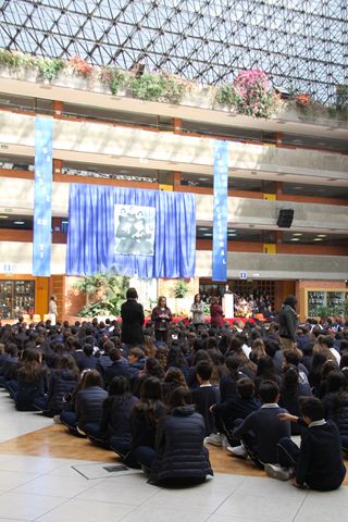 Ir a la Siguiente Foto