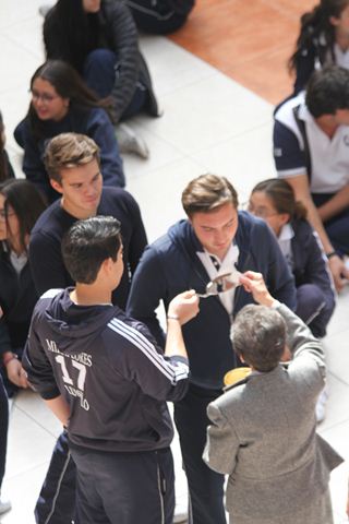 Ir a la Siguiente Foto