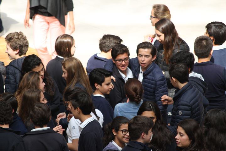 Ir a la Siguiente Foto