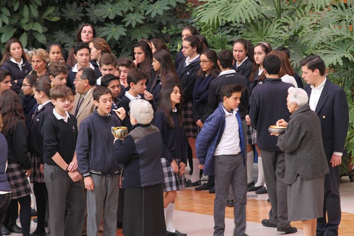 Ir a la Siguiente Foto