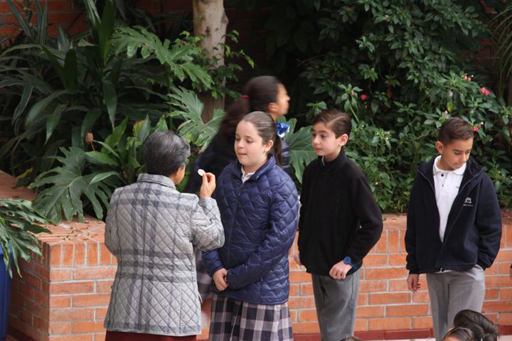 Ir a la Siguiente Foto