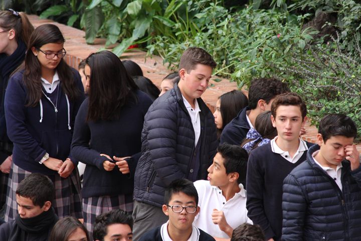 Ir a la Siguiente Foto