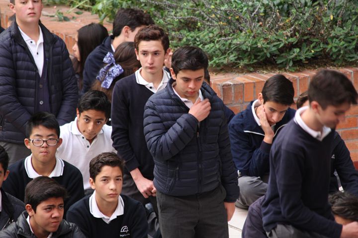 Ir a la Siguiente Foto