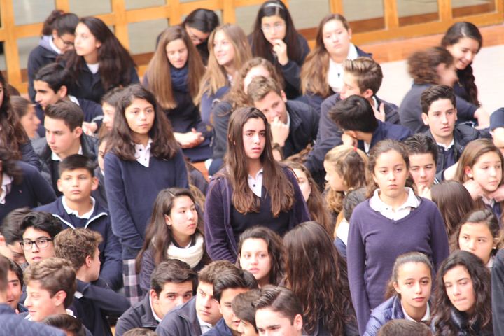 Ir a la Siguiente Foto