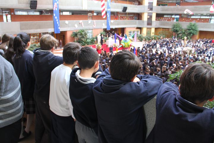 Ir a la Siguiente Foto