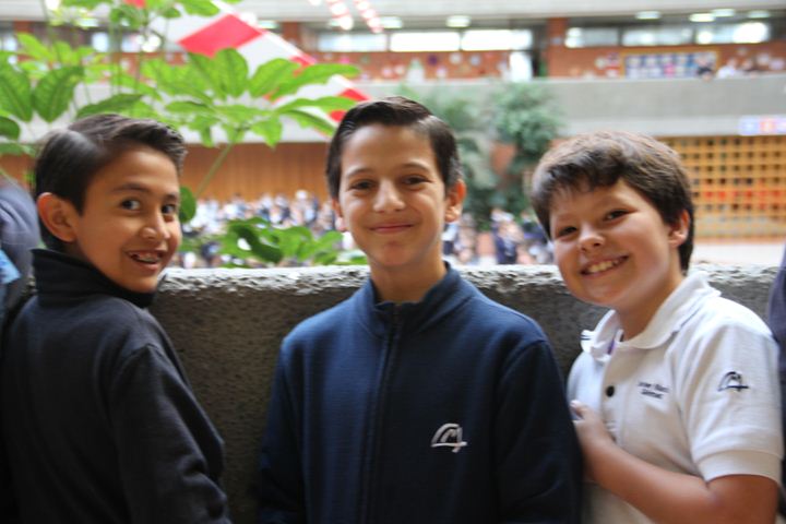 Ir a la Siguiente Foto