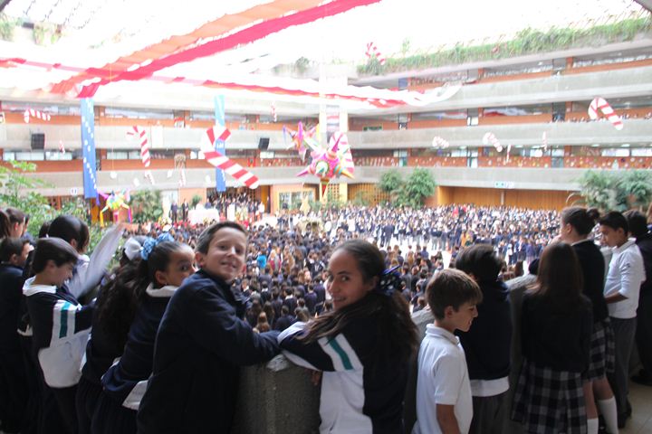 Ir a la Siguiente Foto