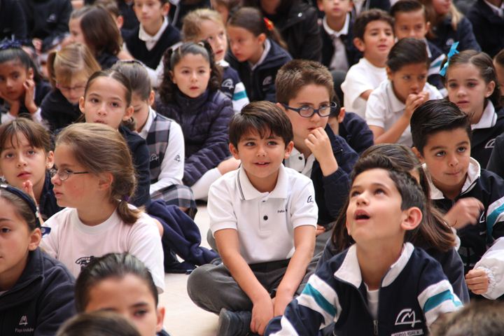 Ir a la Siguiente Foto