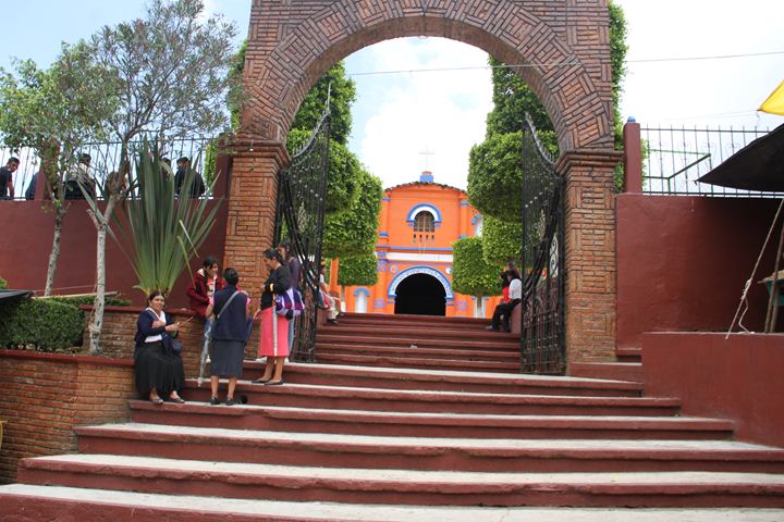 Ir a la Siguiente Foto