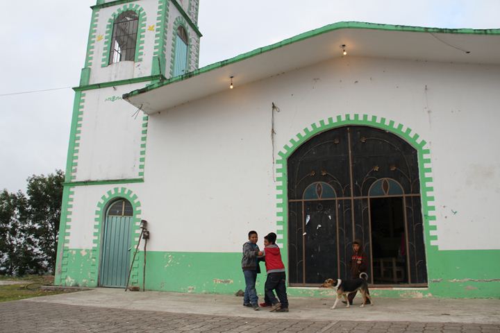 Ir a la Siguiente Foto