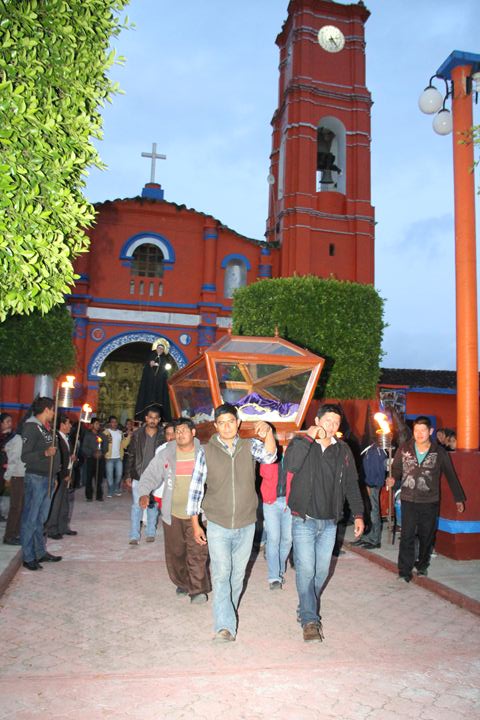 Ir a la Siguiente Foto