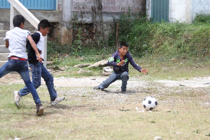 Ir a la Siguiente Foto