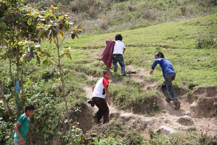 Ir a la Siguiente Foto
