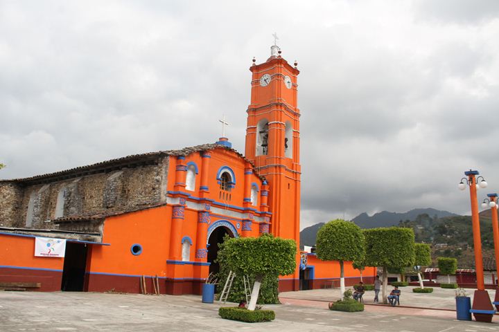 Ir a la Siguiente Foto