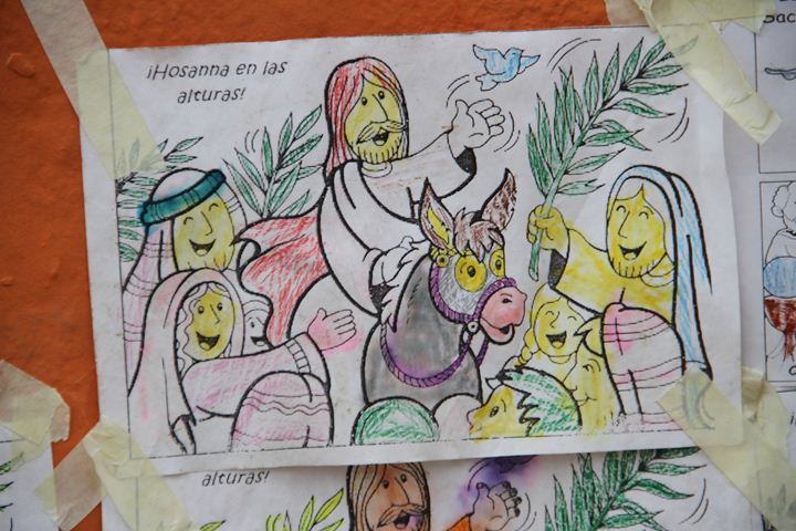 Ir a la Siguiente Foto