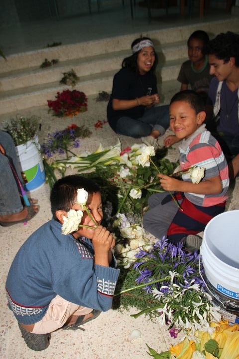 Ir a la Siguiente Foto