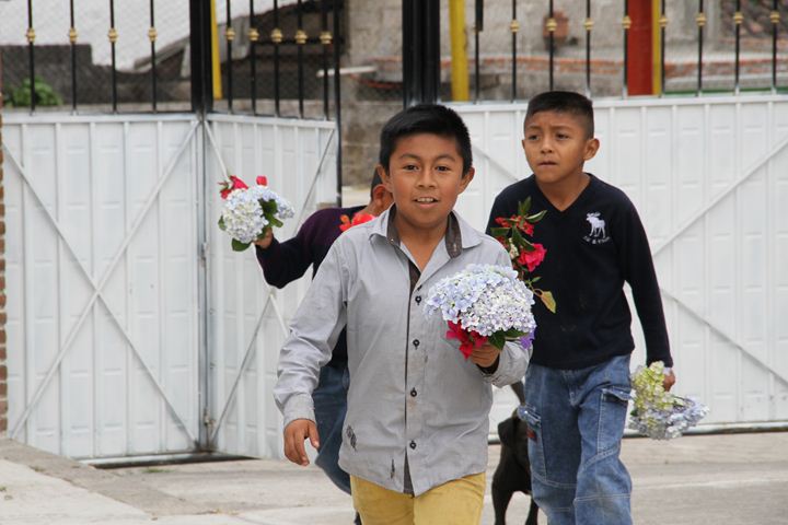 Ir a la Siguiente Foto