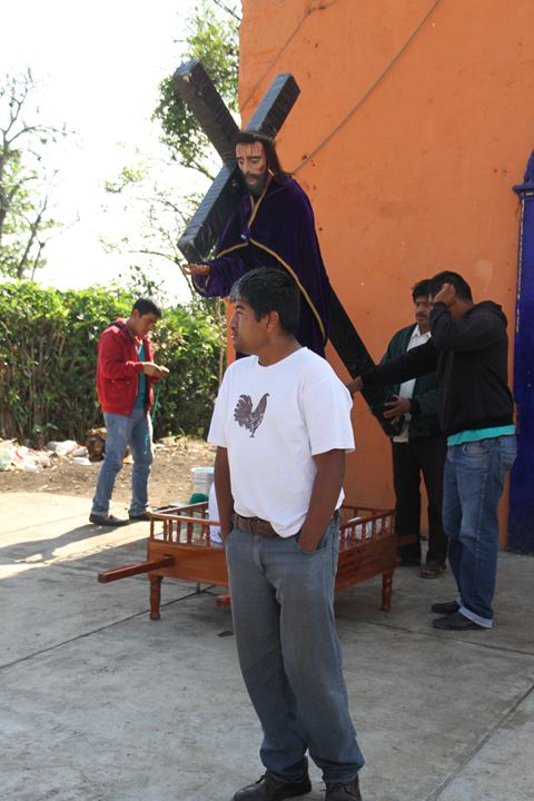 Ir a la Siguiente Foto