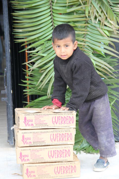 Ir a la Siguiente Foto