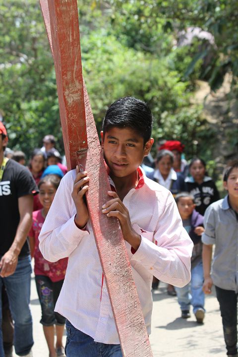 Ir a la Siguiente Foto